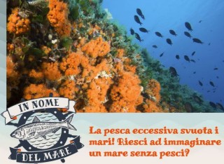Ancora pesca illegale nell'Arcipelago Toscano